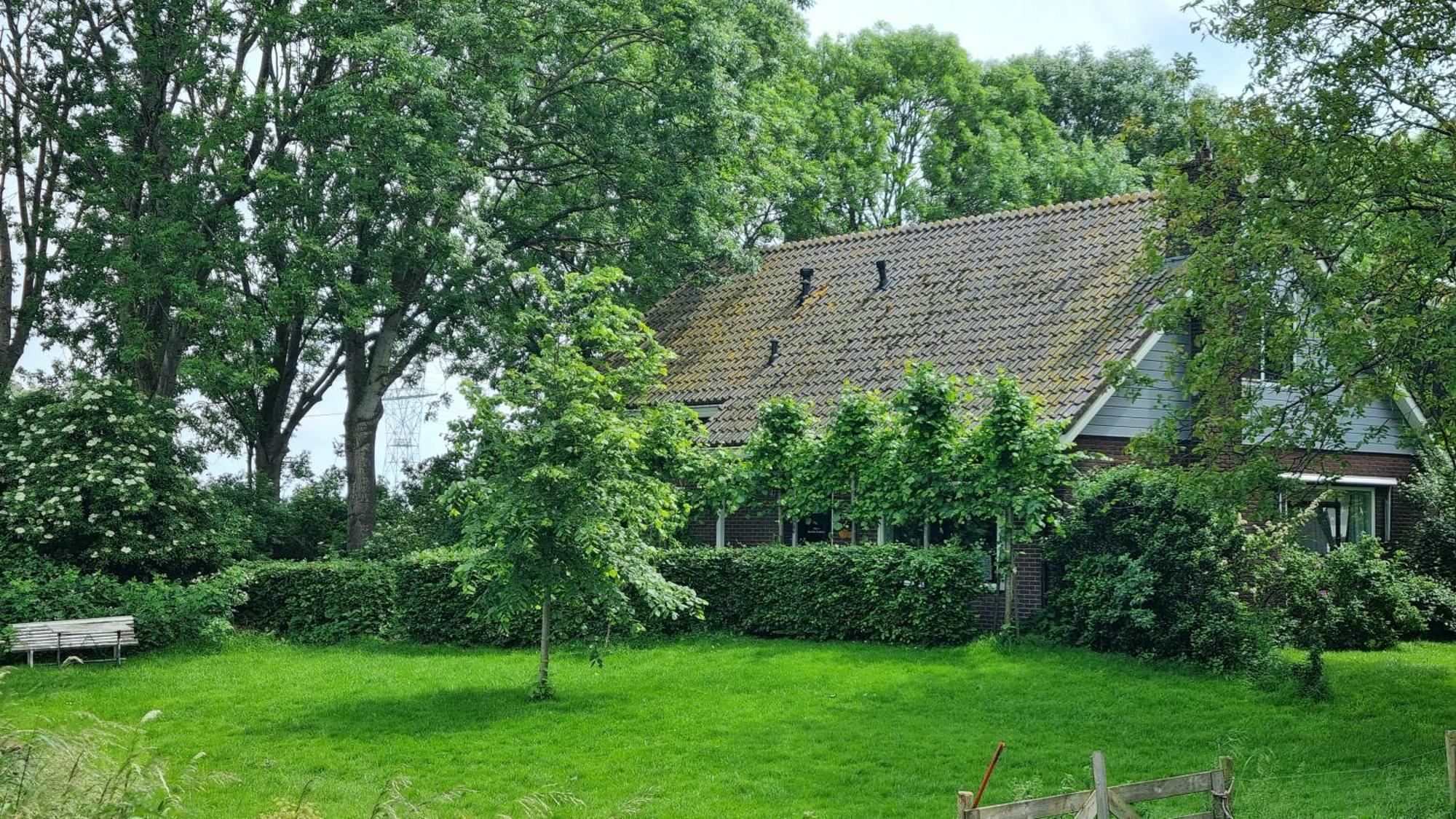 City Farmer Amsterdam , Bed, Bike And Breakfast In Amsterdam Amesterdão Exterior foto